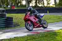 Lower Group Red Bikes